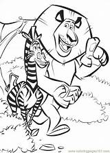Madagascar Coloring Pages Madagascar2 Book Online Color Printable Info Colouring Print Coloriage Do Cartoons Birthday Movie Kids sketch template