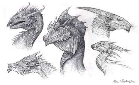 amazing dragon sketchs  katie pfeilschiefter dragons pinterest