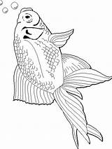 Goldfish Coloring Pages Color Printable Fish Getcolorings Goldfishes Recommended sketch template