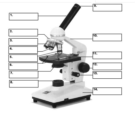 microscopes  grade science