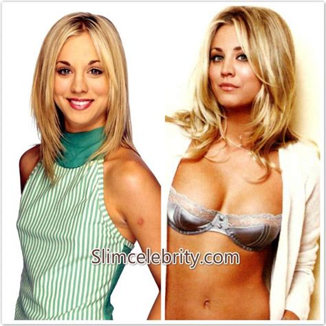 pin by celebrity style on celebrity plastic surgery before and after photos big bang theory
