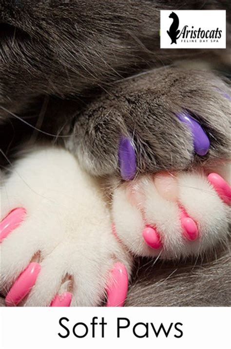 soft paws nail caps aristocats