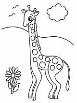 Giraffe Coloring Pages Animals Printable Drawing Kb sketch template
