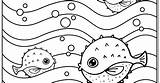 Puffer Fish Coloring sketch template