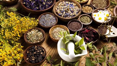 history  benefits  herbal medicine features