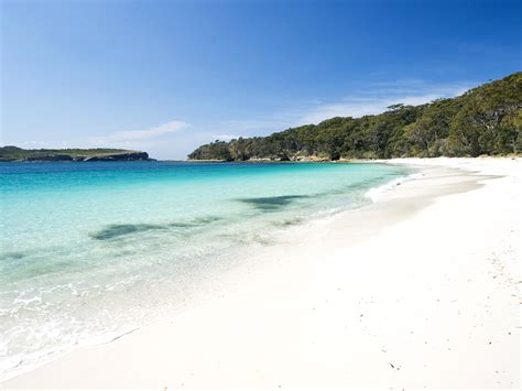 ultimate holiday guide  jervis bay
