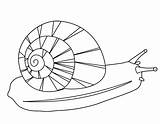 Snail Coloring Pages Printable Kids sketch template