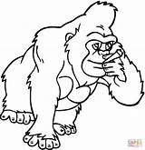 Coloring Gorilla Pages Primate Printable Drawing sketch template