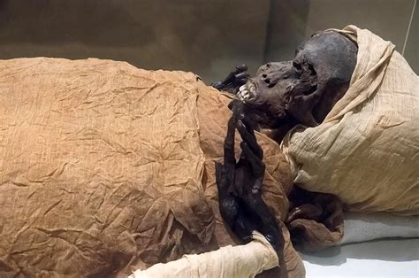 ancient egyptian mummies  parade  streets  cairo