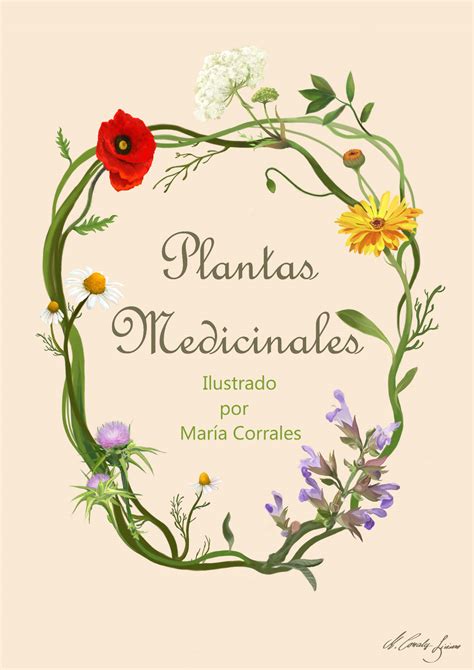 plantas medicinales domestika