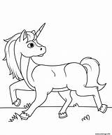 Licorne Unicorn sketch template