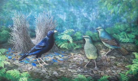 wildlife art work bird paintings wildlife prints greeting cards original