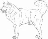 Malamute Alaskan Lineart Dog Deviantart Line sketch template