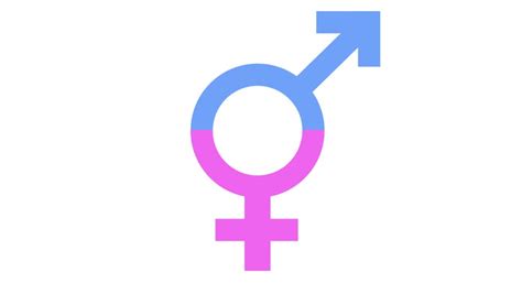 Transgender Gender Equality Icon In Stock Footage Video 100 Royalty