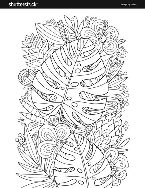 coloring book pages printable coloring pages