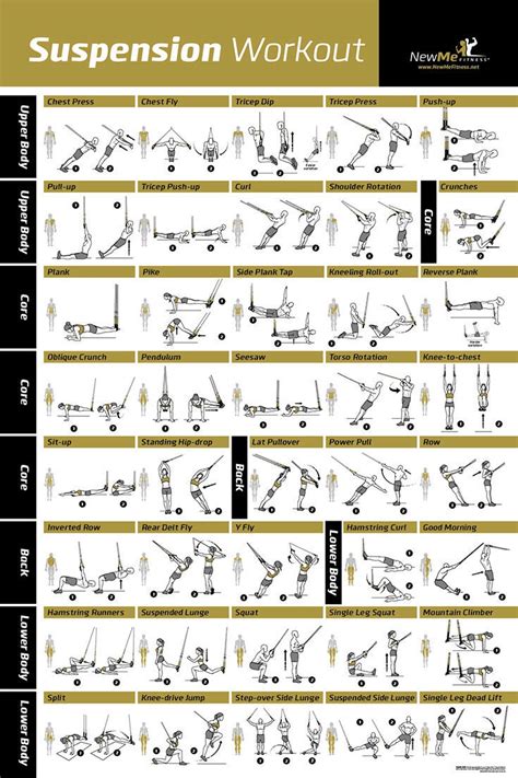 Image Result For Printable Trx Exercise Chart Healthy