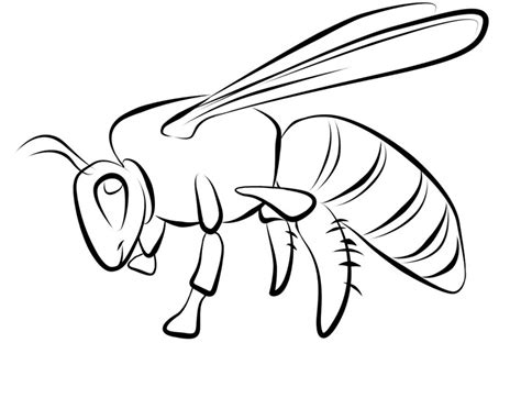 printable bee coloring pages  kids