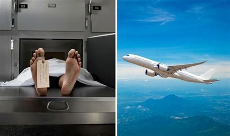 flights what really happens to a dead body on a plane what cabin crew