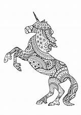 Unicorn Unicorns Patterns Coloring Zentangle Beautiful Shape Pages Adults Paisley Adult sketch template