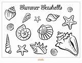 Seashell Printable Summer Coloring Project Description sketch template