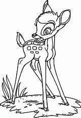 Bambi Coloring Pages Perfect Wecoloringpage sketch template