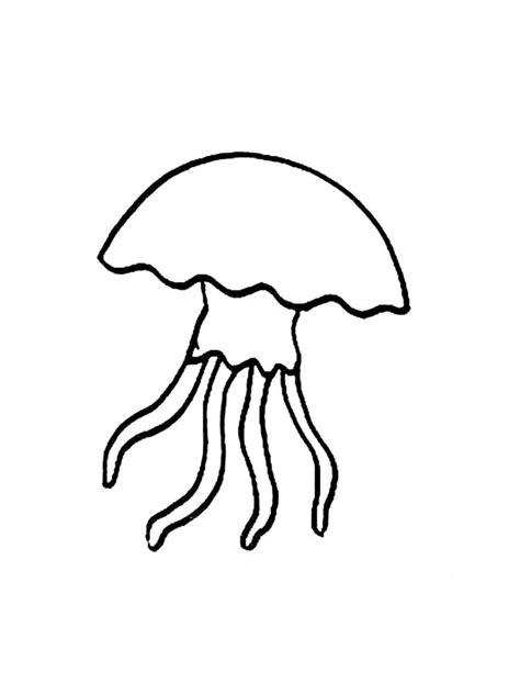 simple jellyfish coloring page  print  color