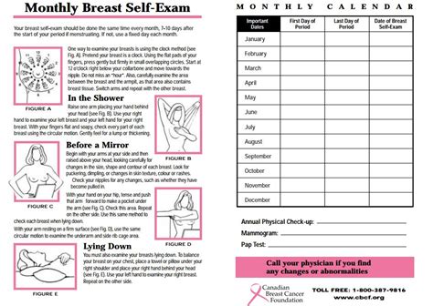 multicultural breast health mbh edmonton breast  exam bse