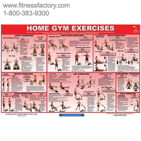 20 Of The Most Common Home Gym Exercises Laminated 24 X 36