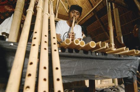 indonesiagoid lalove alat musik penyembuh suku kaili