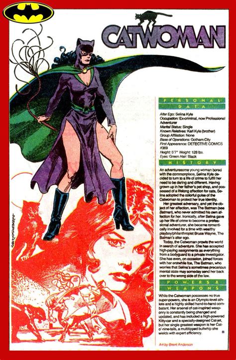 Catwoman 3  1200×1834 Catwoman Comics Dc Comics