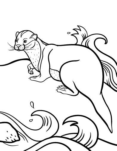 otter coloring page coloring pages animal coloring pages