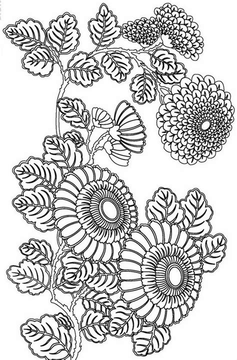 printable coloring pages  adults advanced google search