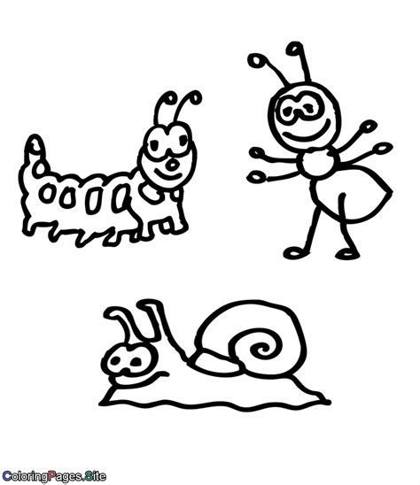 cute  bugs coloring page bug coloring pages animal coloring