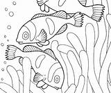 Coloring Habitat Animal Pages Habitats Getcolorings Printable Color sketch template