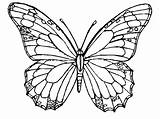 Kupu Mewarnai Butterflies Monarch Warna Kunjungi Getcolorings sketch template