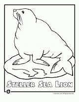 Endangered Coloring Pages Sea Animal Ocean Lion Animals Species Animaljr Kids Worksheets Lions Printer Send Button Special Print Only Use sketch template