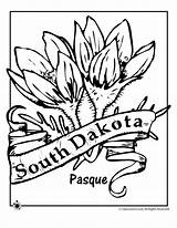 Coloring Flower State Pages Dakota South Flag Woojr Jr Kids Choose Board sketch template