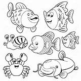 Fish Clipart Animals Ocean Animal Water Coloring Fishs Cartoon Cute Pages Drawing Clip Illustration Outline Color Kids Printable Baby Templates sketch template