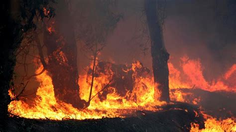 greece wildfire prompts village evacuations newshub