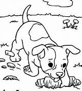 Puppy Coloring Pages Digging Heart Husky Dog Coloringpagesonly sketch template