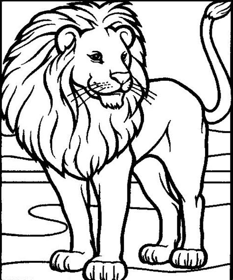 lion coloring pagesgif  lion coloring pages animal