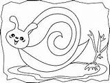 Caracol Primeraescuela Snail Marino Caracola Animales sketch template
