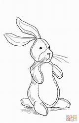 Velveteen Rabbit sketch template