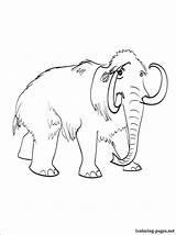 Mammoth Pages Coloring Printable Getcolorings sketch template