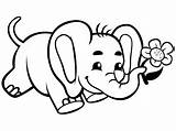 Elephant Elefante Bebe Coloriage Elefantes Mignon Dessin Elephants Supercoloring Imprimir Stampare Bebé Elefanti Elefantini Imprimer  sketch template