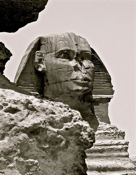 the great sphinx egypt pyramids egypt sphinx egypt egypt