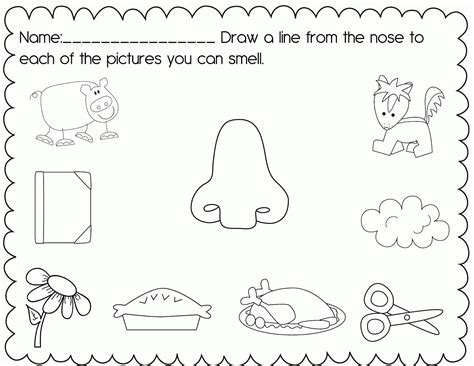 senses coloring pages books    printable