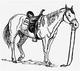 Saddle Pommel Caballos Seekpng sketch template