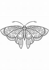 Coloring Papillon Motifs Insectos Insekten Erwachsene Insectes Justcolor Jolis Coloriages Insetti Papillons Colorare Malbuch Adultos Insects Disegni Adulti Adultes Mariposas sketch template