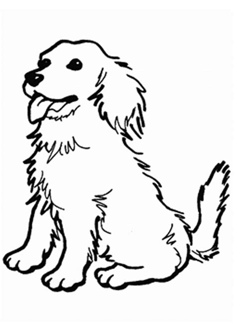 coloring pages golden retriever puppy coloring pages